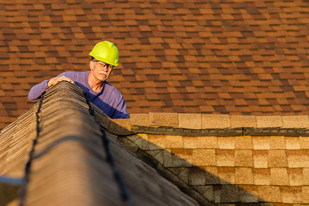 Best Roof Maintenance Services  in Untain View, MO